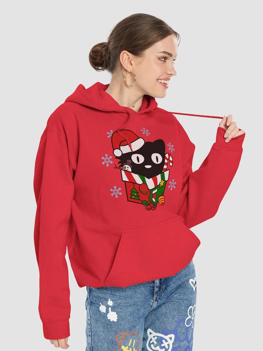Christmas Cat in a Box Hoodie product image (43)