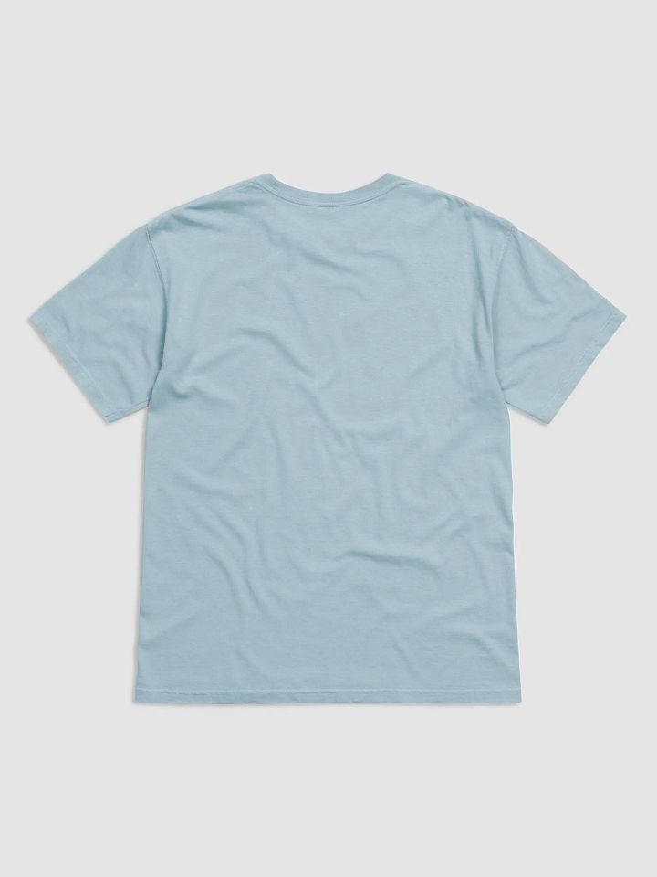 Tangled Blessings: Spires House Soft T-Shirt (Black) product image (10)