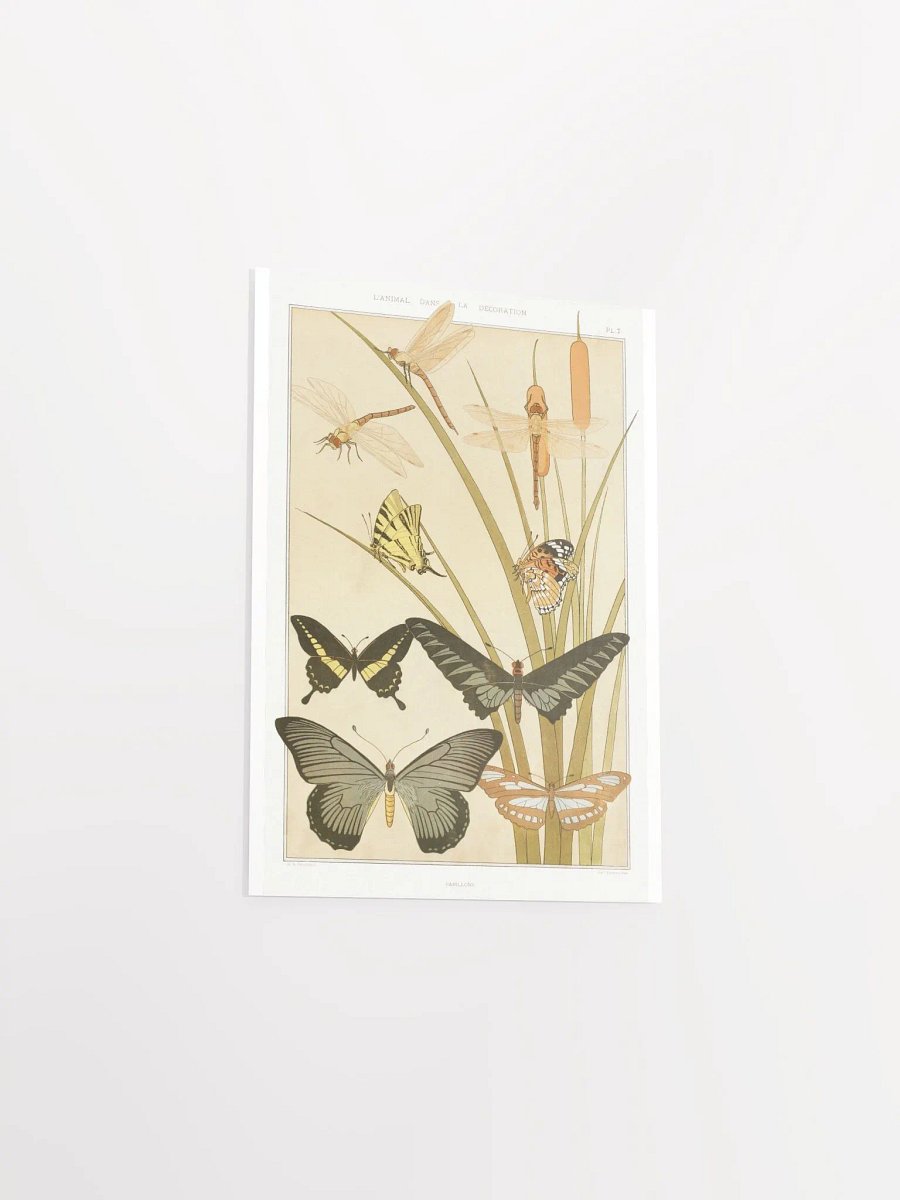 Butterflies - Papillons product image (9)