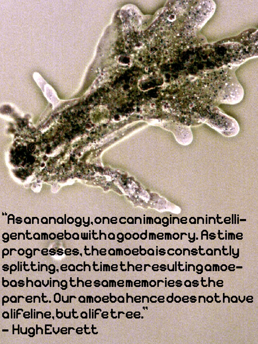 Sarcodina font product image (3)