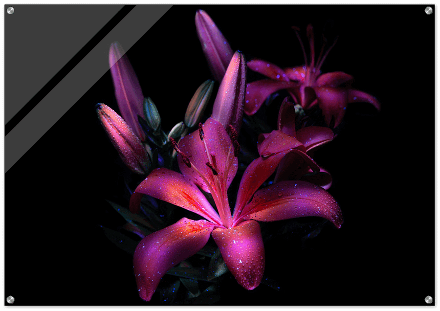 MAJESTIC FLOWER GLOSSY ACRYLIC PRINT product image (1)