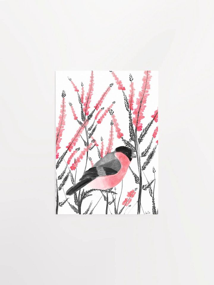 beautiful bullfinch product image (1)