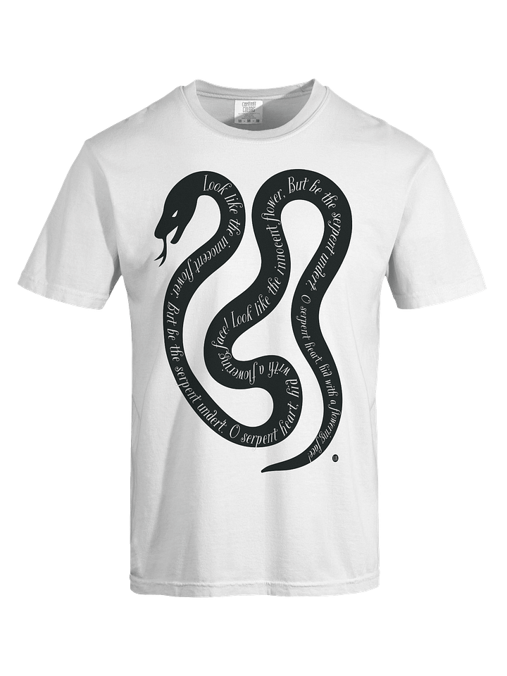 Serpent's Verse Heavyweight Tee product image (1)