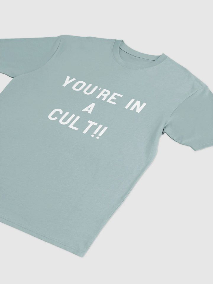 Pris- You're In A Cult -Cotton Heritage Men's Premium Heavyweight Tee product image (8)