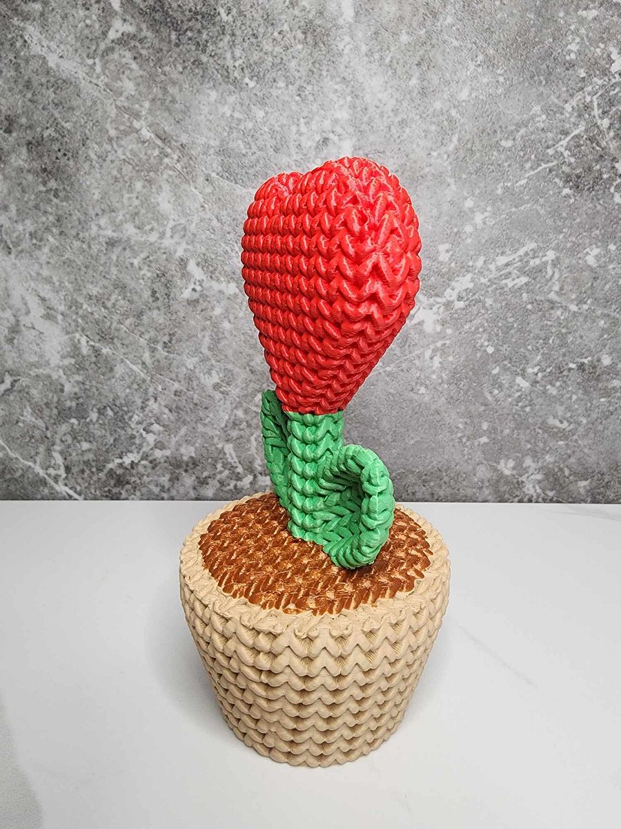 "Knitted" Heart Plant in a Pot product image (3)