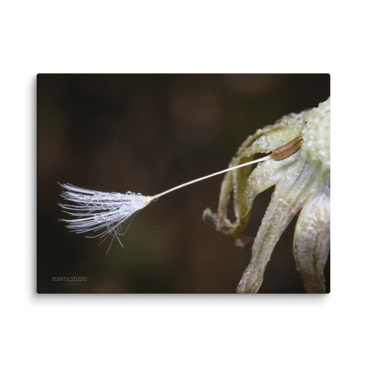 One Last Wish - Print On Canvas product image (2)