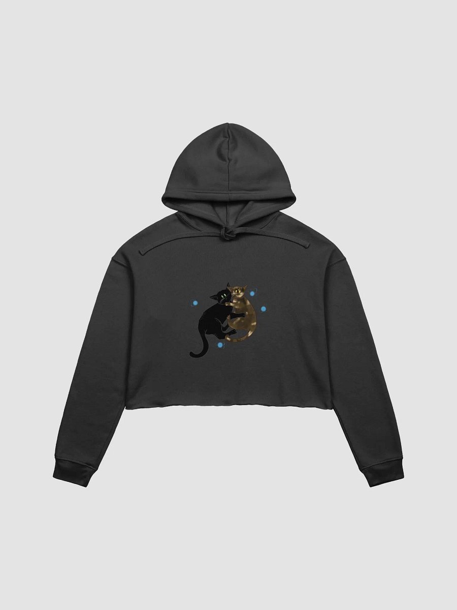 Dual Logo Cropped Hoodie product image (5)