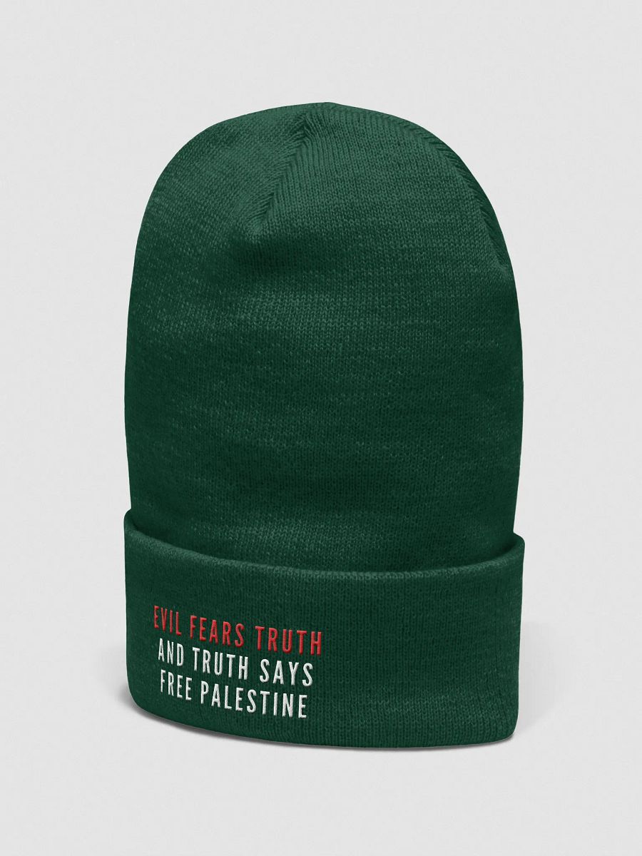 Truth Unveiled Beanie | Evil fears truth, and truth says: Free Palestine. product image (28)