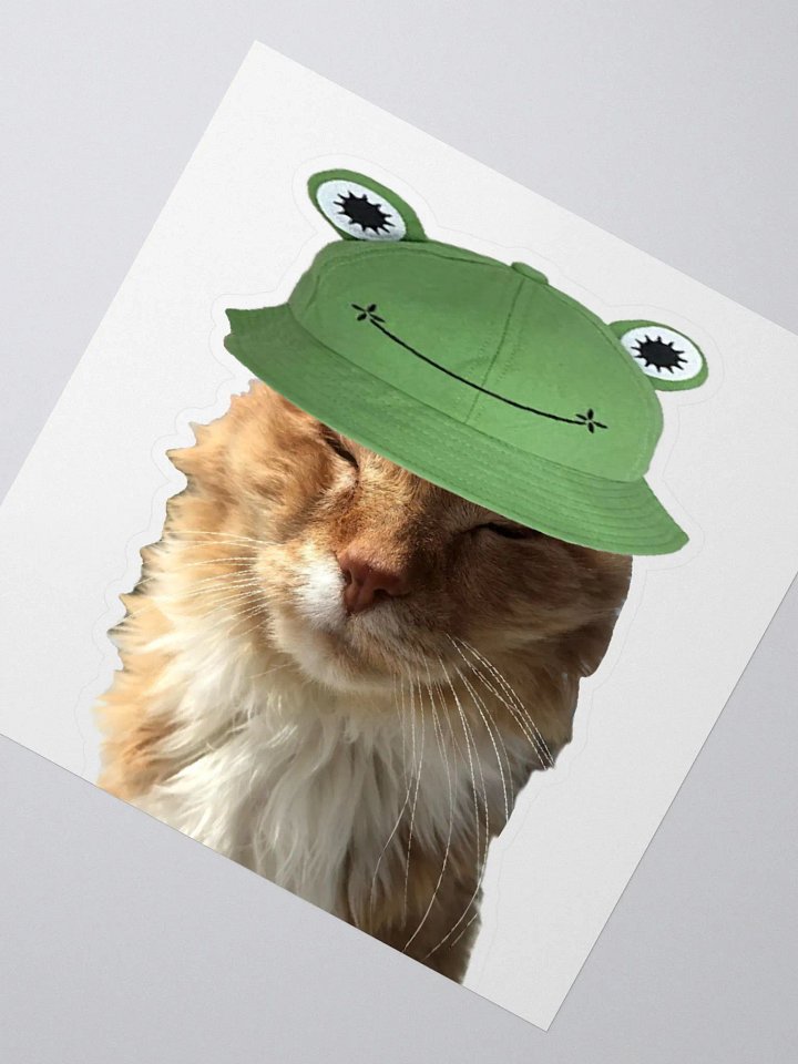 Froggy Boy Sticker product image (2)