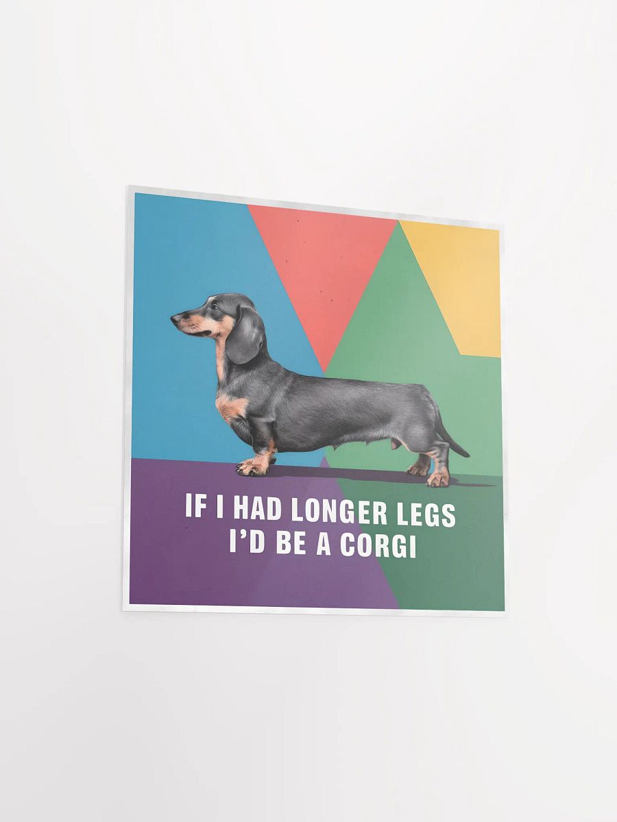 Dachshund product image (13)