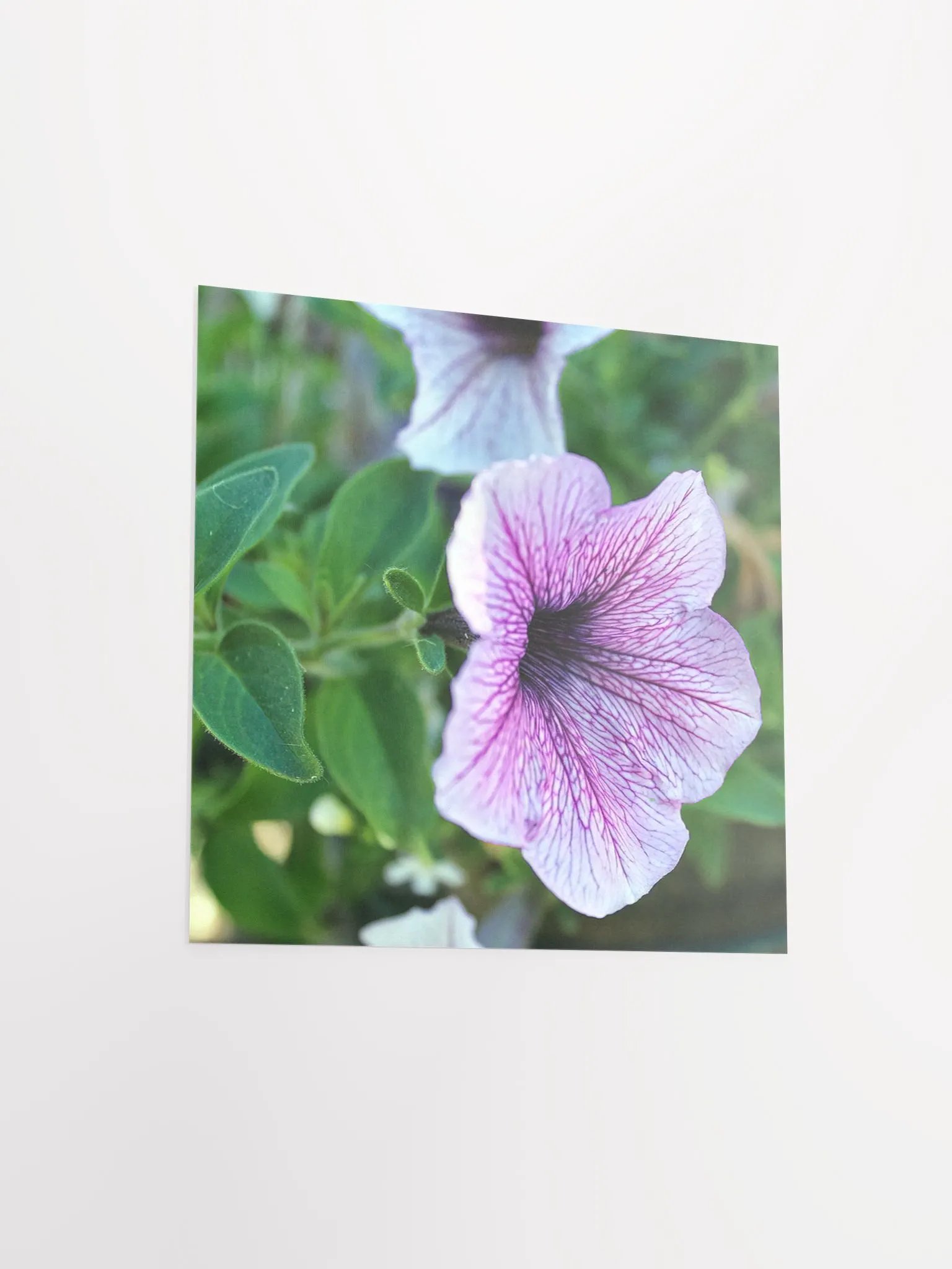 Purple Flower product image (12)