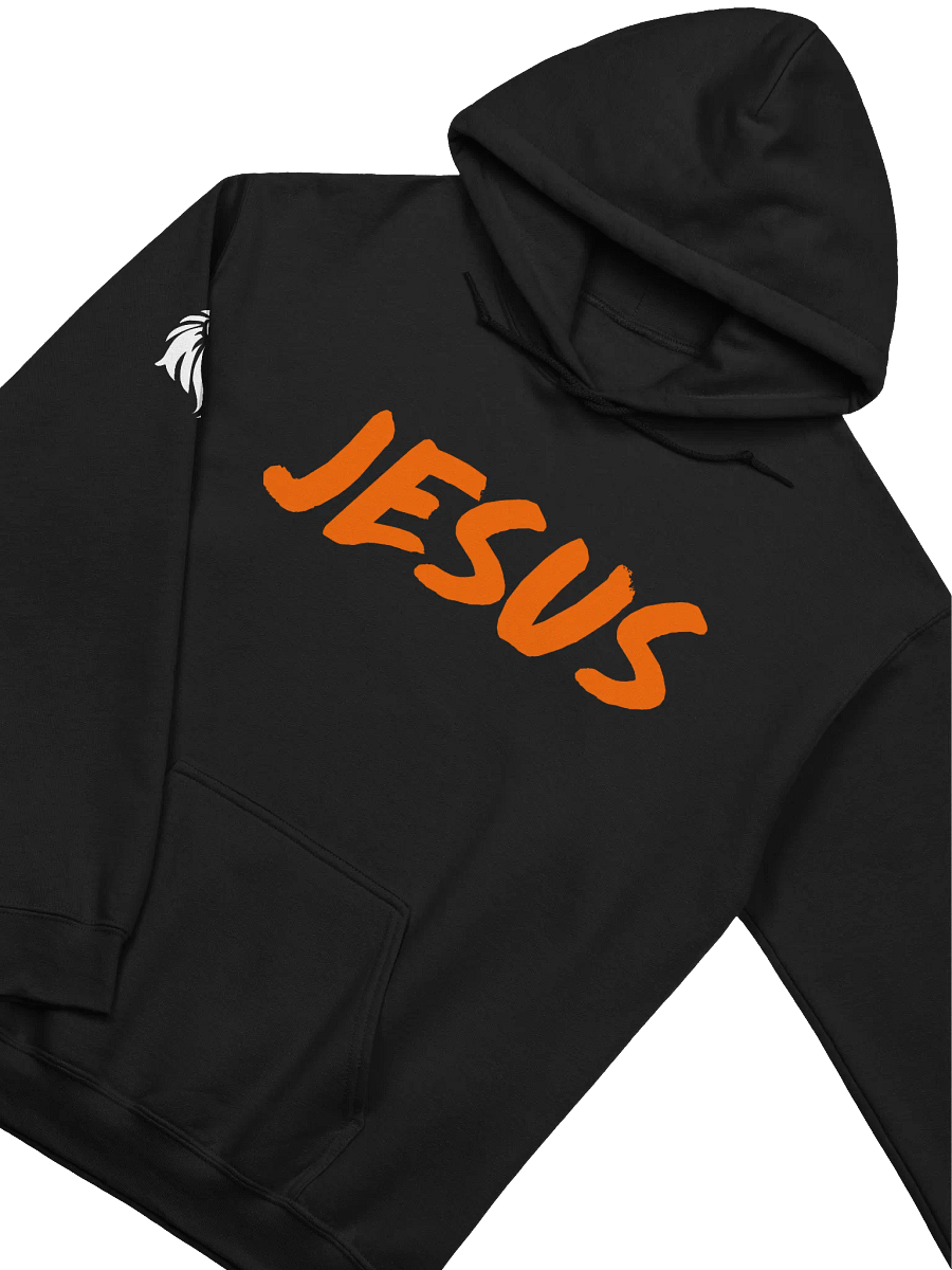 Jesus Hoodie - Fearless 2025 product image (3)