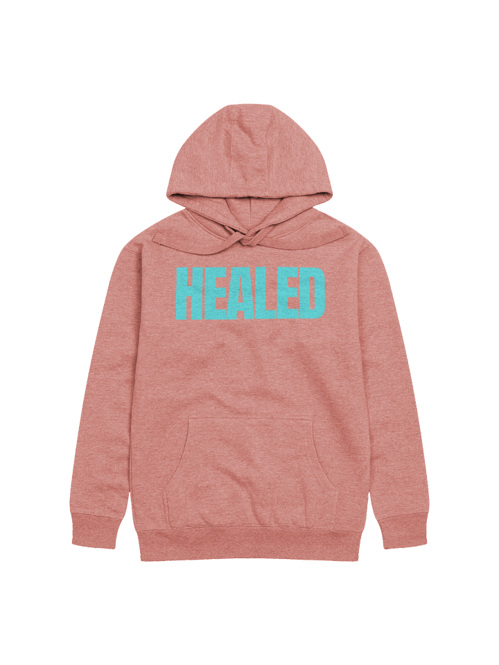 HEALED TEAL SPECIAL RETRO EDITION HOODIE product image (1)