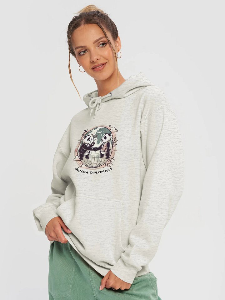 Panda Diplomacy Hoodie (Light Colors) product image (2)