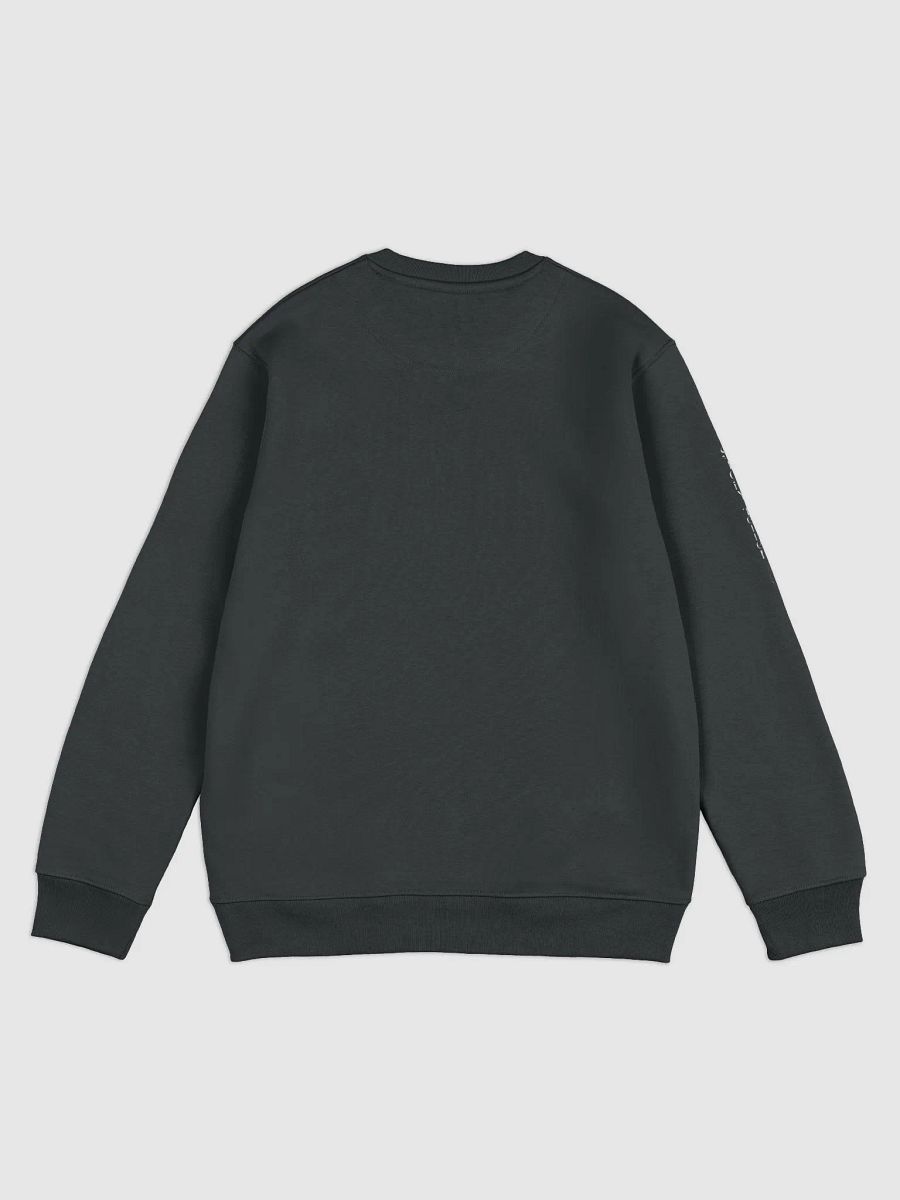 Silver Storyteller Unisex Sweatshirt product image (4)
