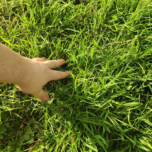 Touched some grass