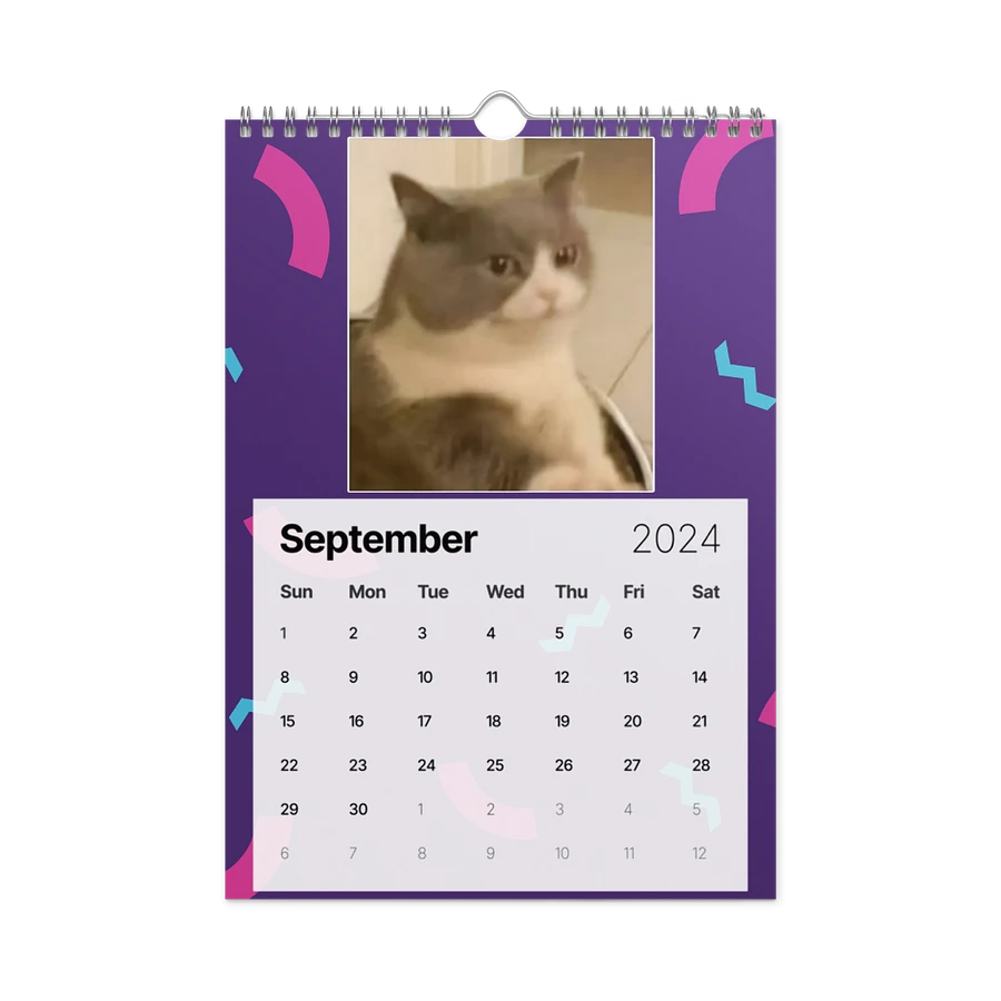 Wall Calendar (2024): Meme Cats product image (18)