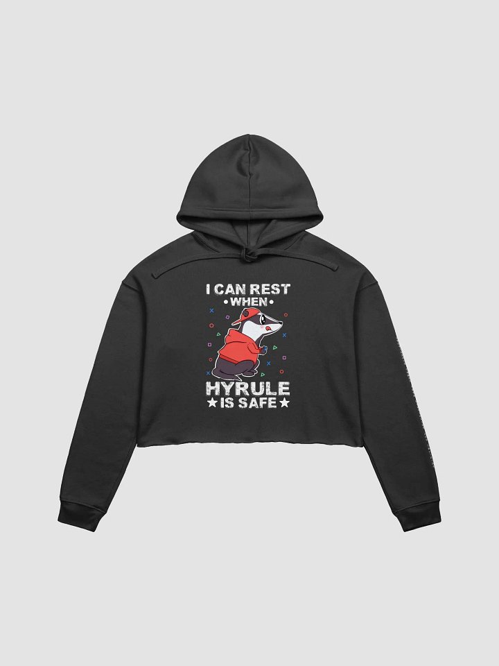 CONFIDENCE CROP TOP HOODIE product image (1)