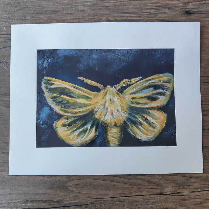 Moth Paintings product image (1)