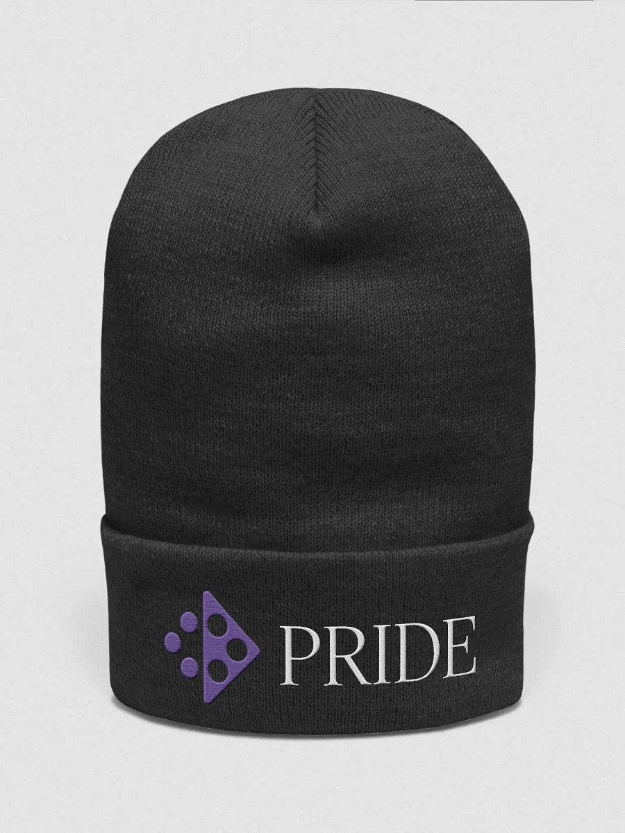PRIDE Beanie product image (1)