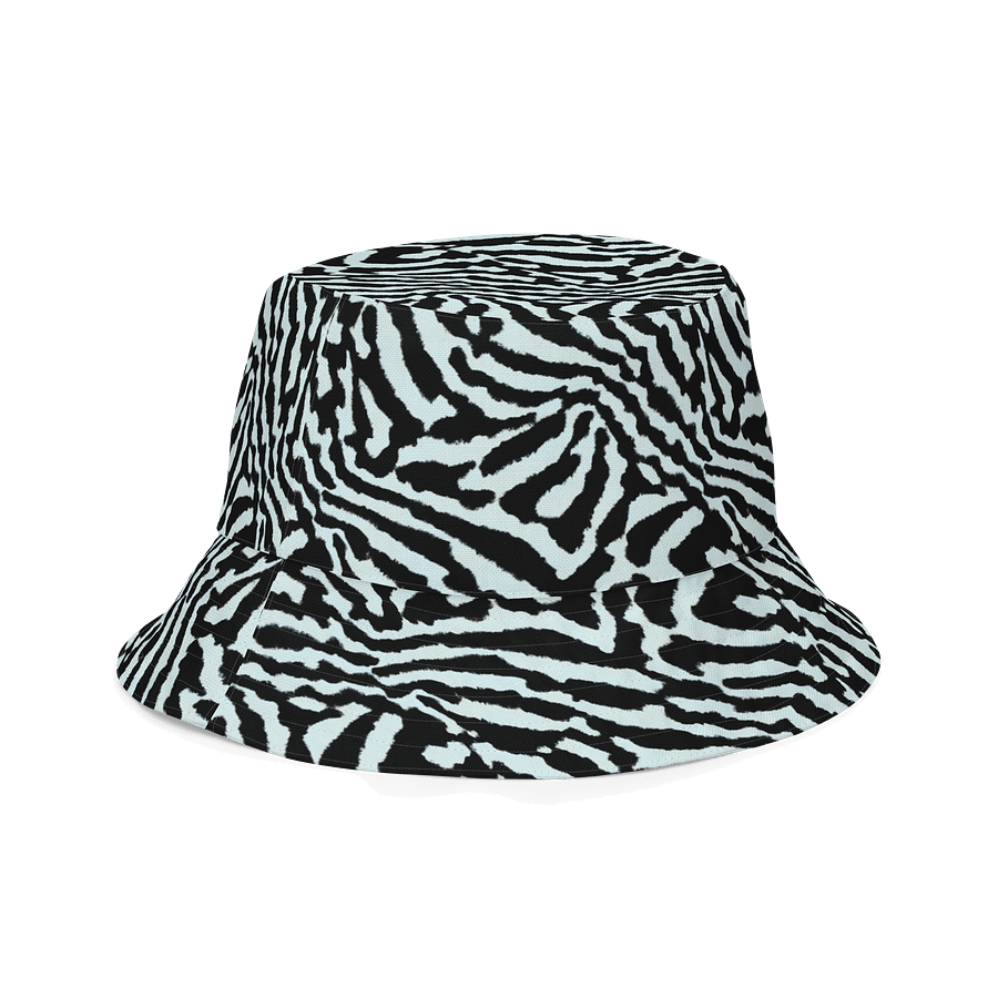 Blue Zebra Hat product image (3)