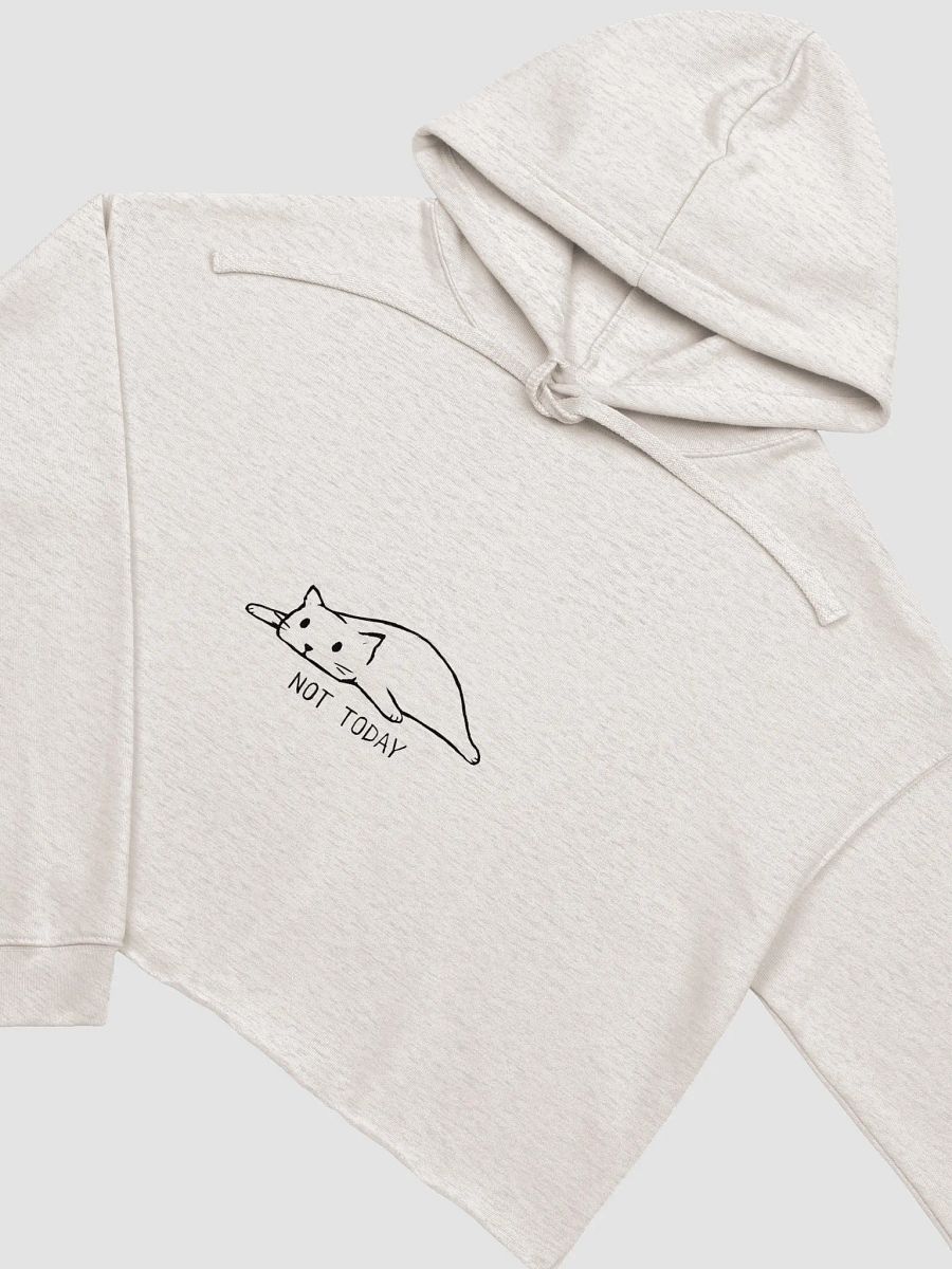 Not Today Cat Crop Hoodie product image (13)