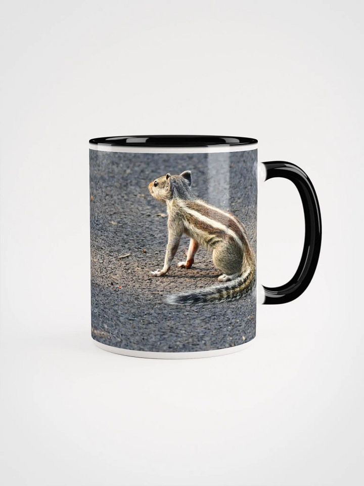 IUCAA Birds MUG product image (1)