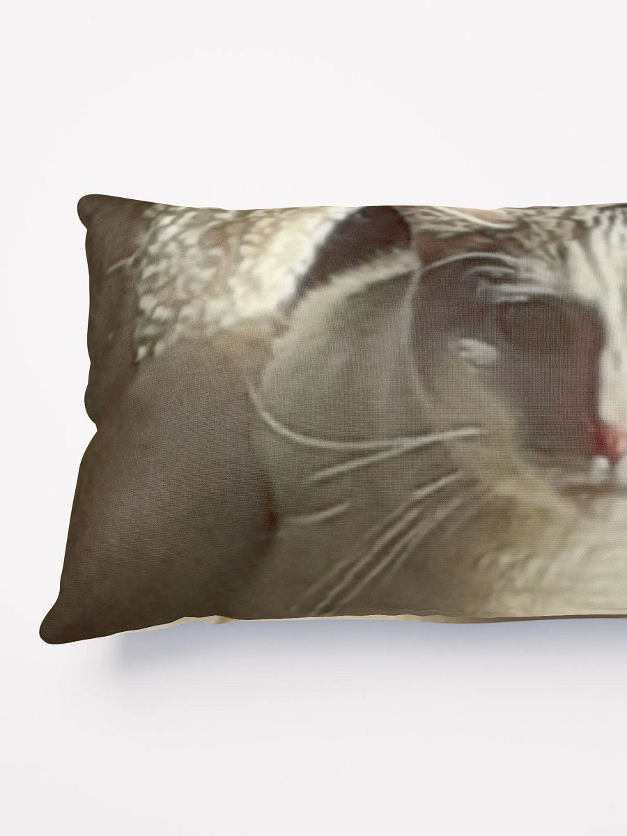 Cat Sunning product image (7)