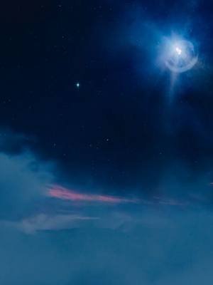 সাহস, বন্ধুত্ব ও জাদুর গল্প Peter Pan & Wendy   Movie Explain Bangla