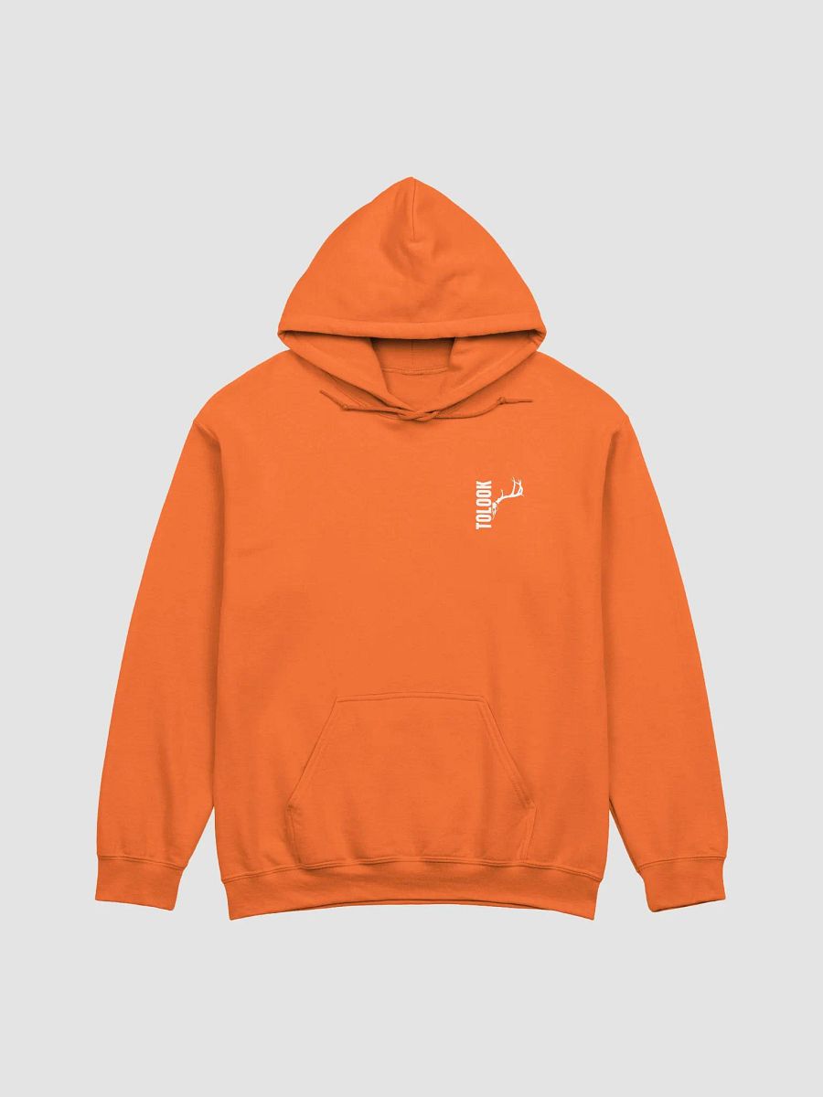 Blazer Orange Hoodie product image (1)