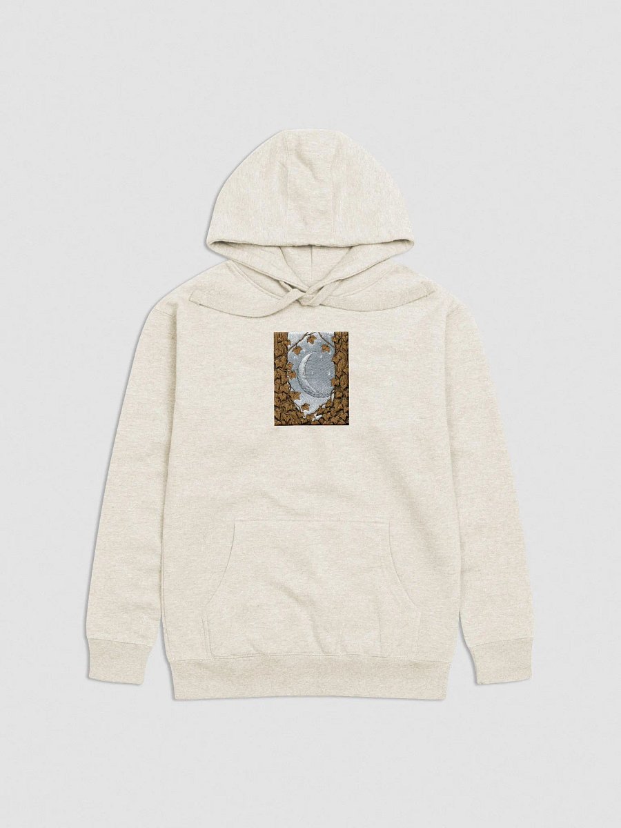 Starry Night Unisex Premium Hoodie product image (11)