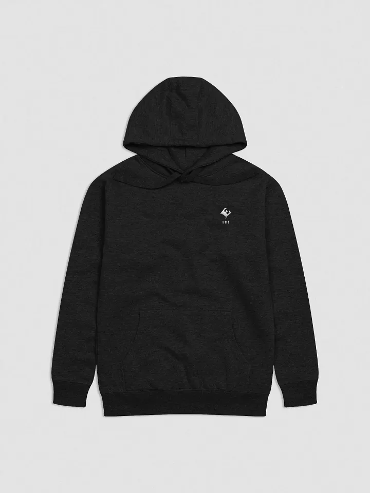 101 Premium Hoodie product image (1)