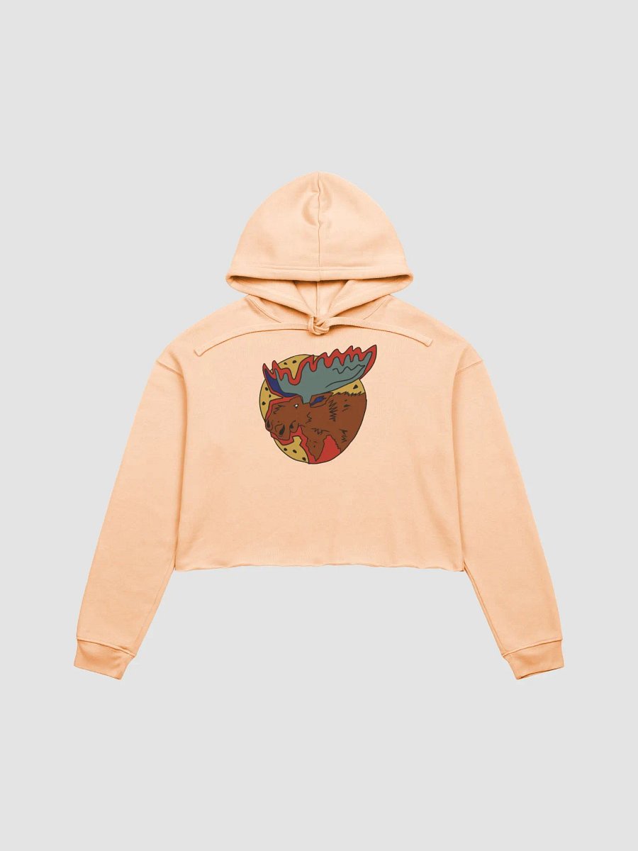 Vapormoose fleece crop hoodie product image (2)
