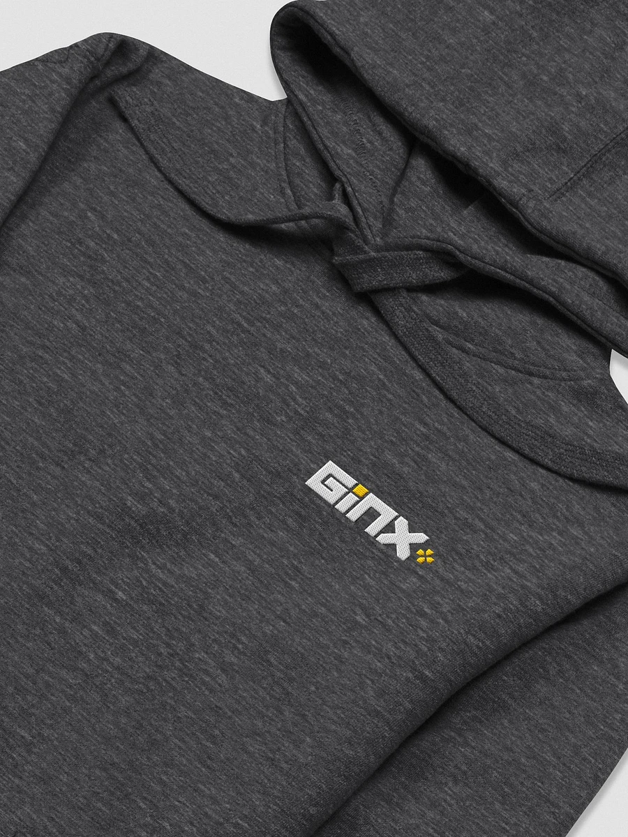 GINX+ Hoodie (Embroidered Logo) product image (13)