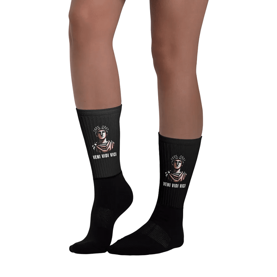 Veni Vidi Vici Socks product image (4)