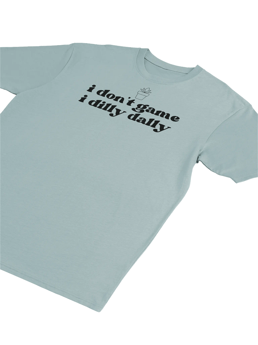 Dilly Dally Heavyweight T-Shirt product image (9)