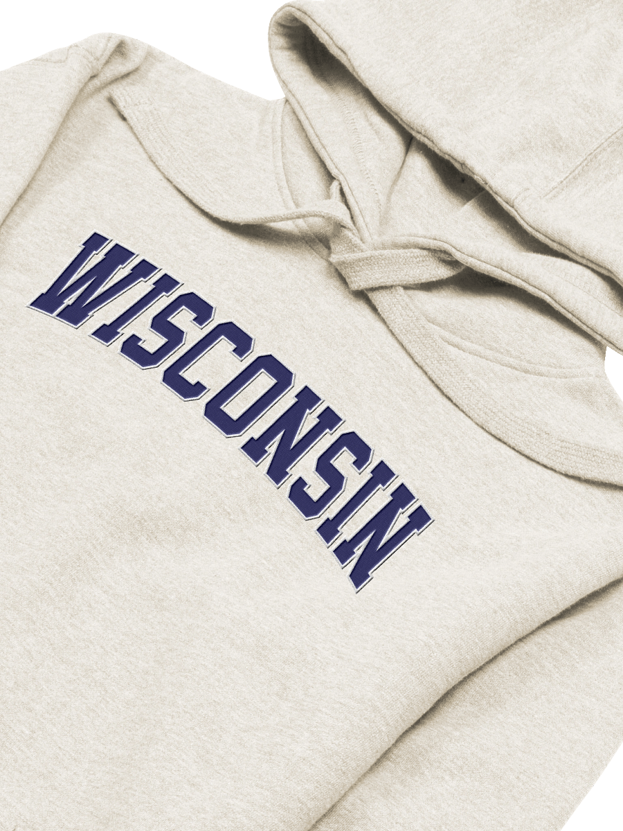 Wisconsin Vintage Stylish Embroidery Unisex Premium Hoodie product image (2)