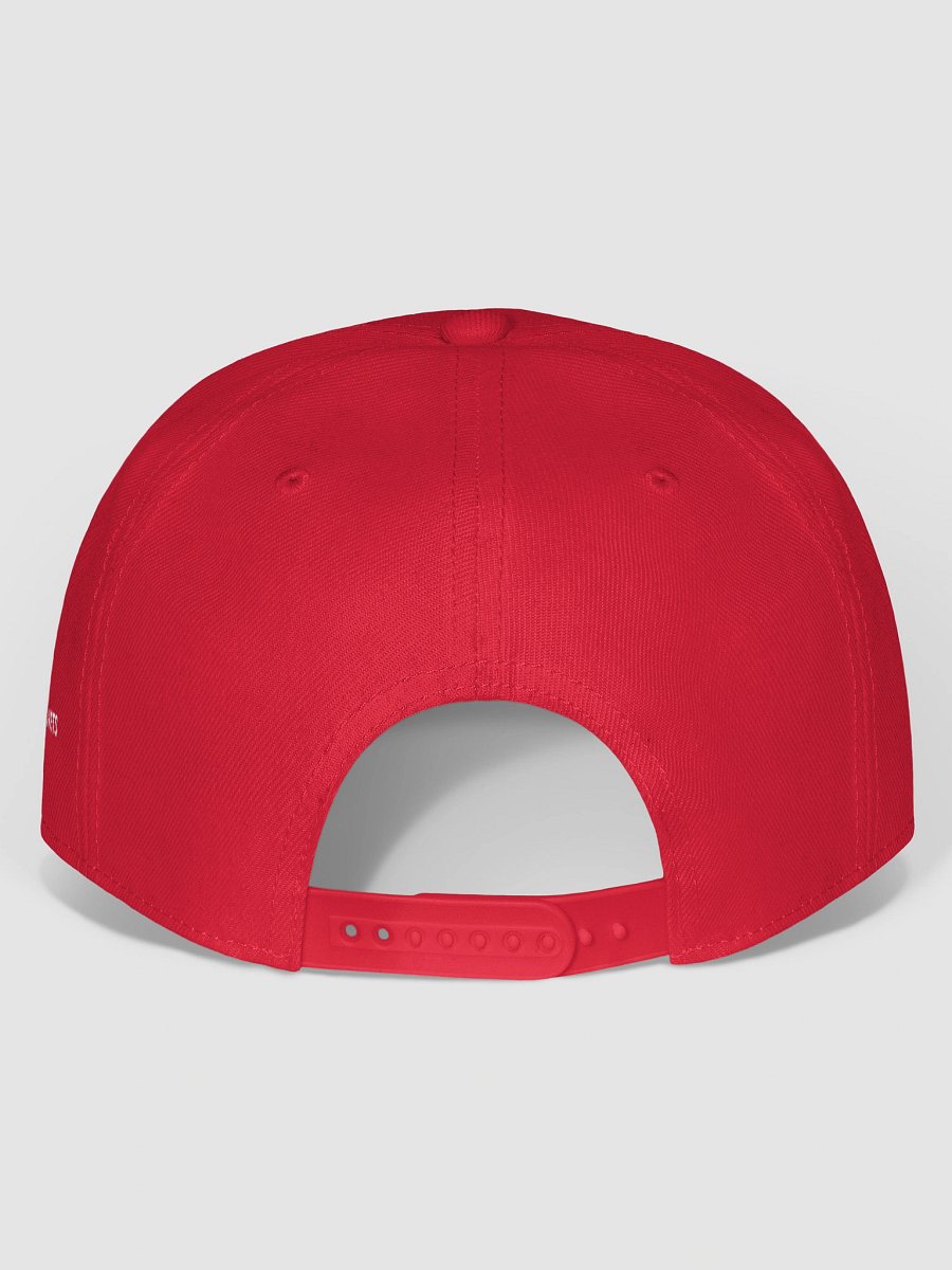 HONORUSVETS Snapback product image (28)