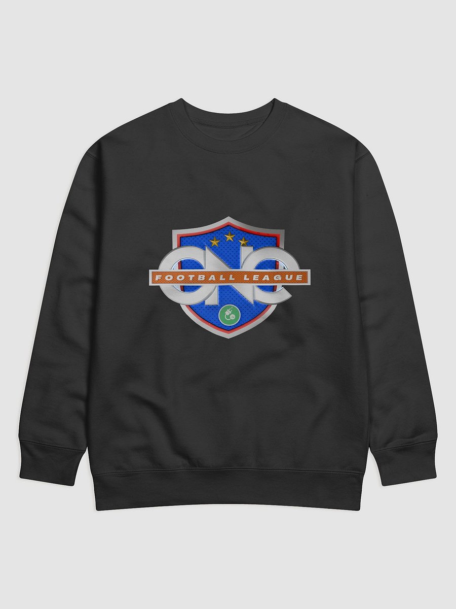 OneFL Pullover — Train. Lead. Inspire. product image (1)