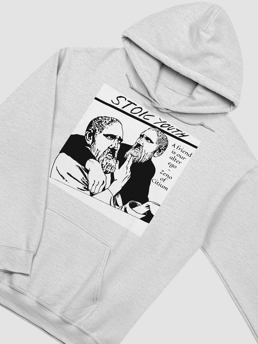 Stoic Youth Zeno of Citium quote Gildan Classic Hoodie product image (5)
