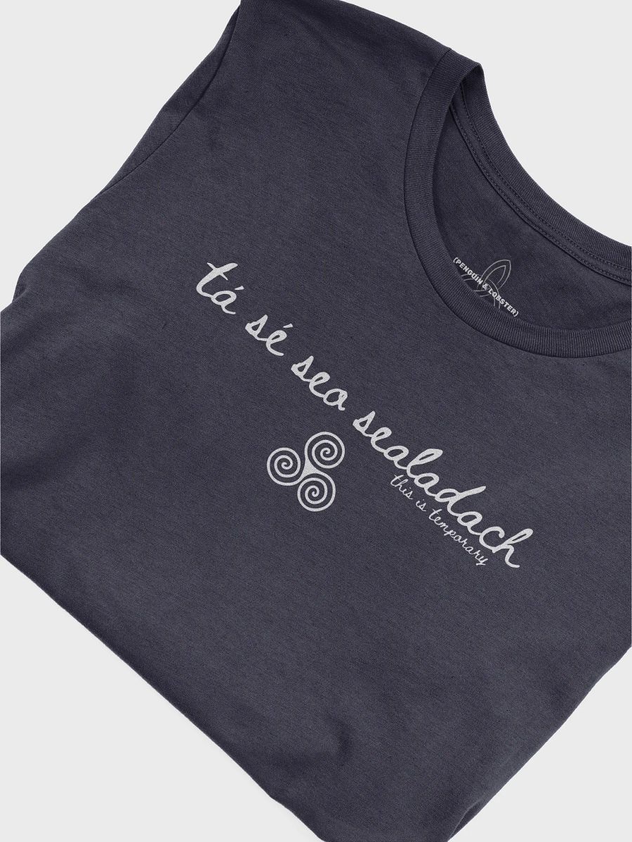 Tá Sé Seo Sealadach (This is Temporary) T-shirt Dark Colors product image (3)