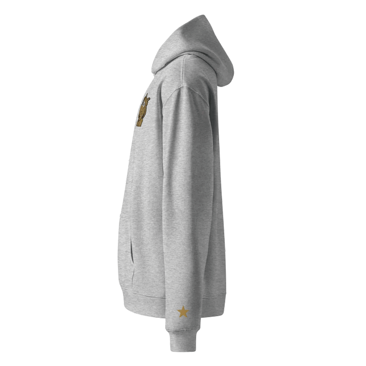 1 YEAR GOLDEN LONELY GOAT Unisex Premium Oversized Hoodie product image (2)