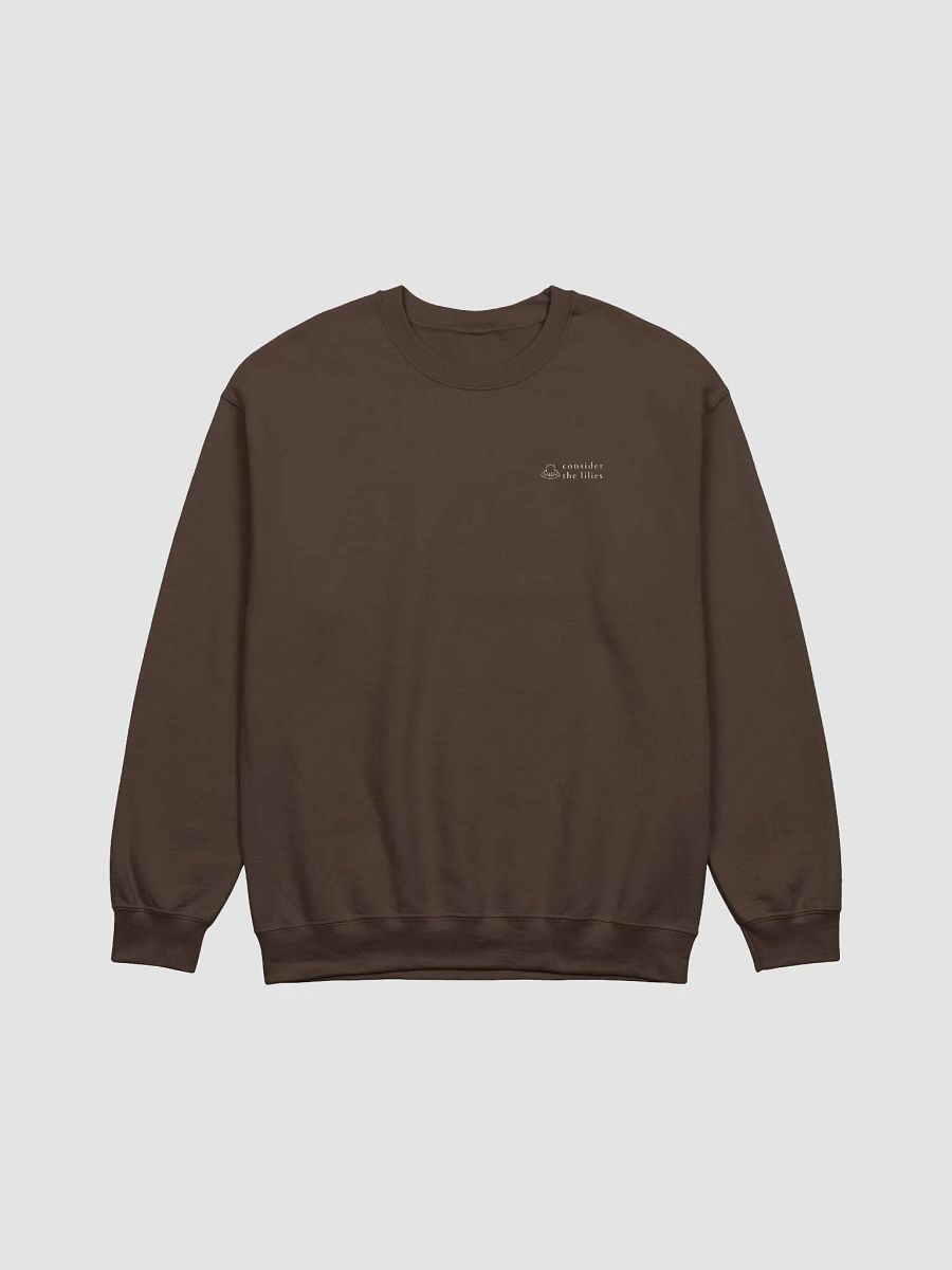 Find Some One Who Needs Lifting Up Brown Sweatshirt product image (4)