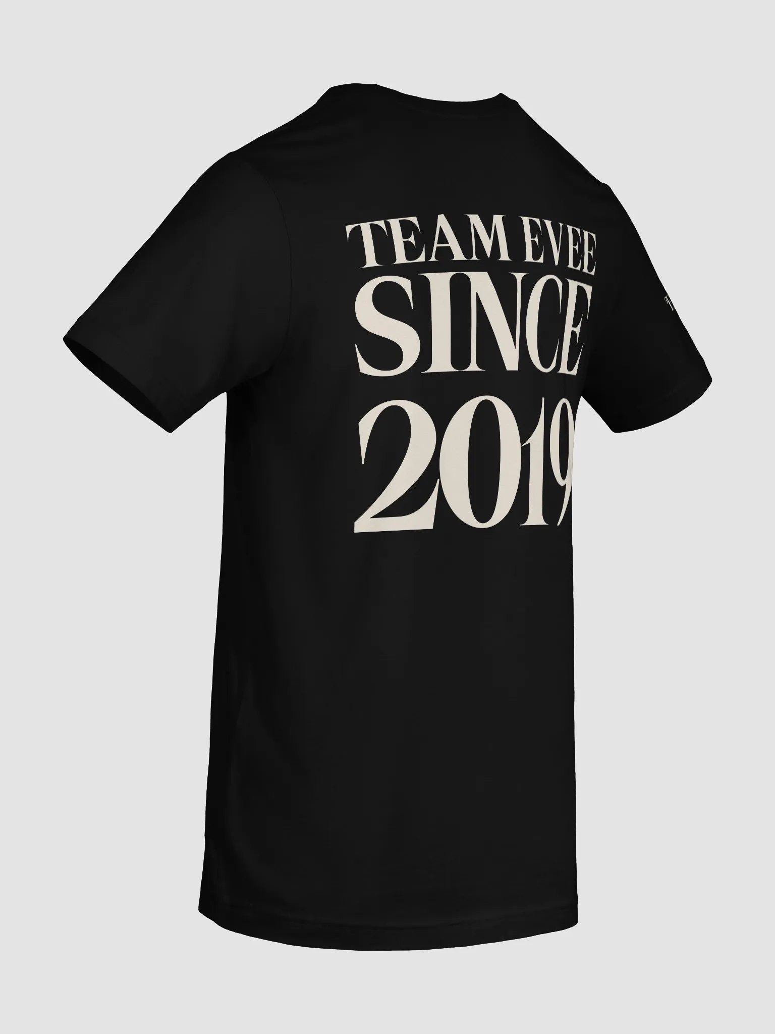 Team Evee 2019 product image (10)