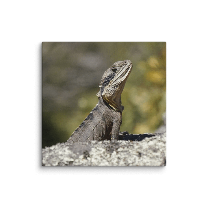 Lizard Canvas product image (2)