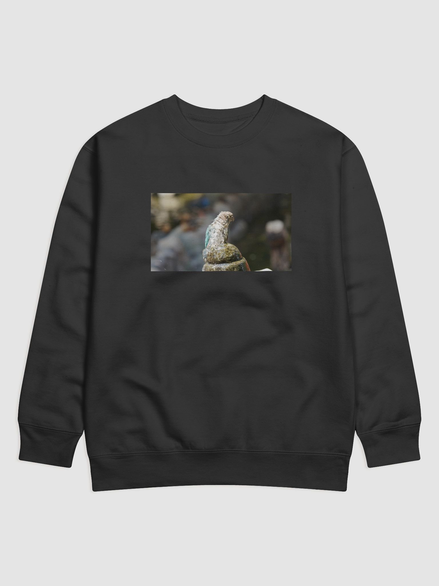 Ruffled Feathers Parrot Sweatshirt product image (1)