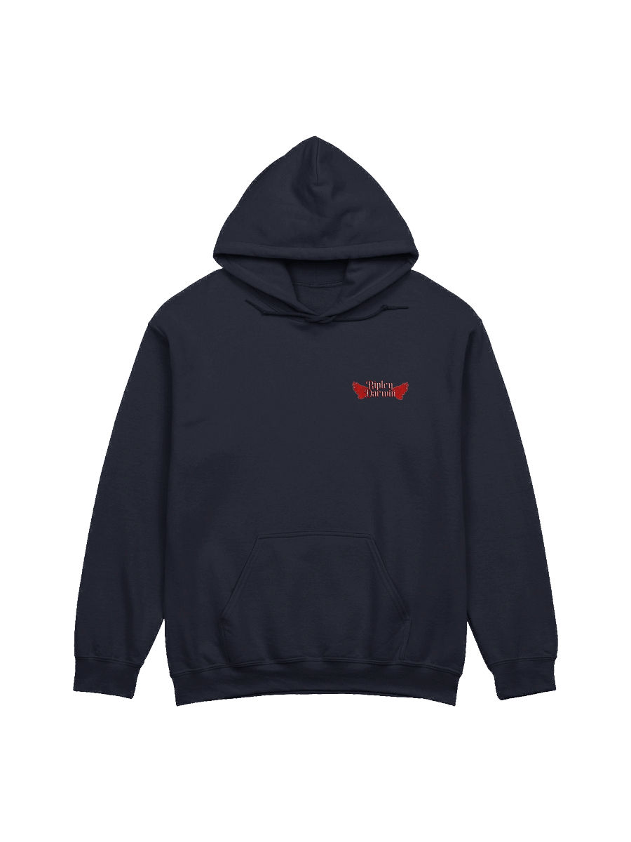 Booktok - Villain Era - Hoodie product image (2)