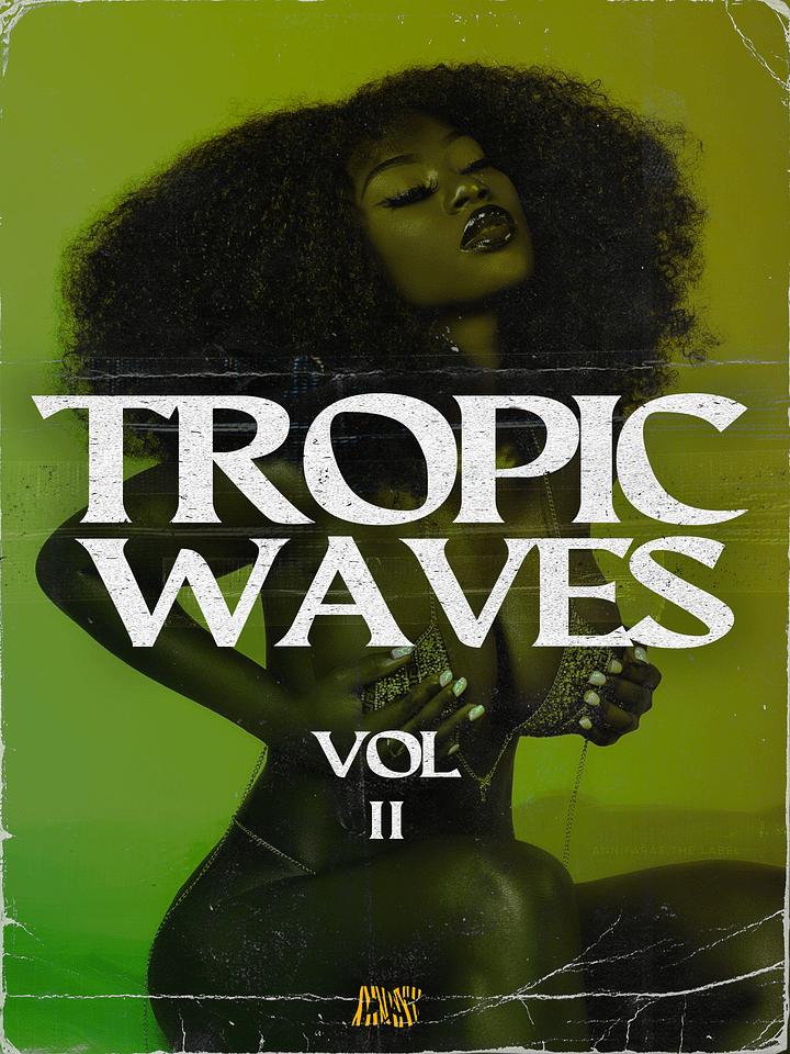 Tropic Waves II (Dancehall Shatta - Moombahton Melody pack) product image (1)