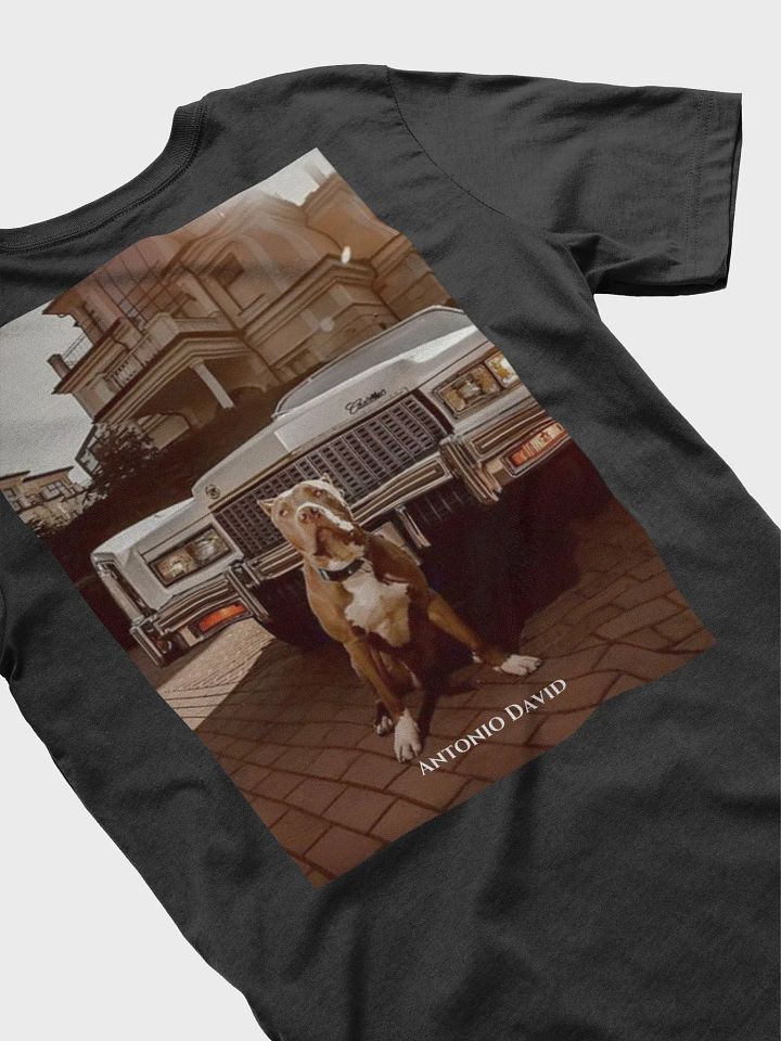 Staford T-Shirt product image (2)
