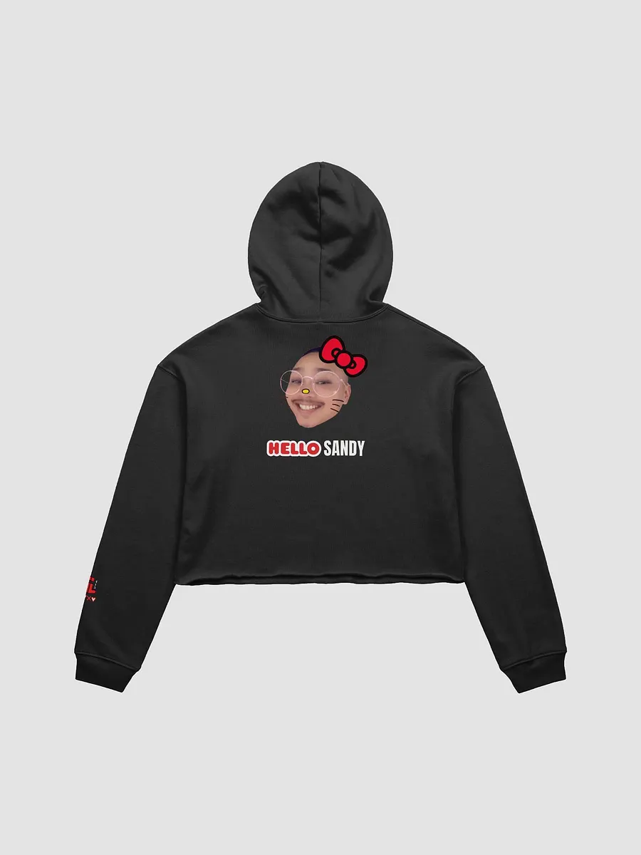 Hello Sandy Crop Hoodie product image (2)